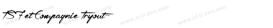 TSF et Compagnie Tryout字体转换